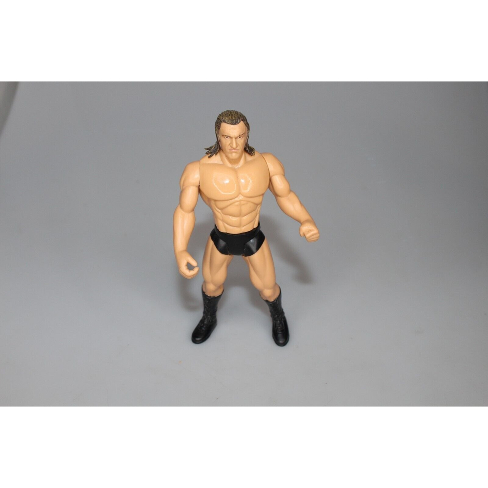 2005 Jakks Pacific WWE Wrestler Triple H Action Figure